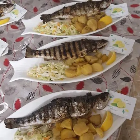 Safi ゲストハウス